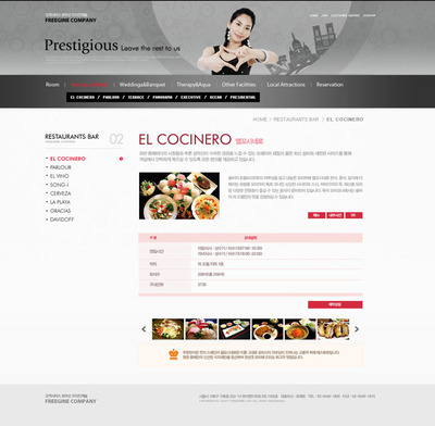 個人展示生活網(wǎng)頁設(shè)計模板 網(wǎng)絡(luò)技術(shù)開發(fā)指南